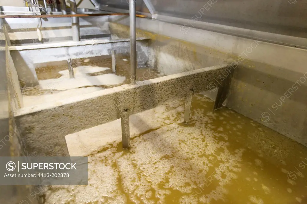 Vat for the production of champagne Marne France