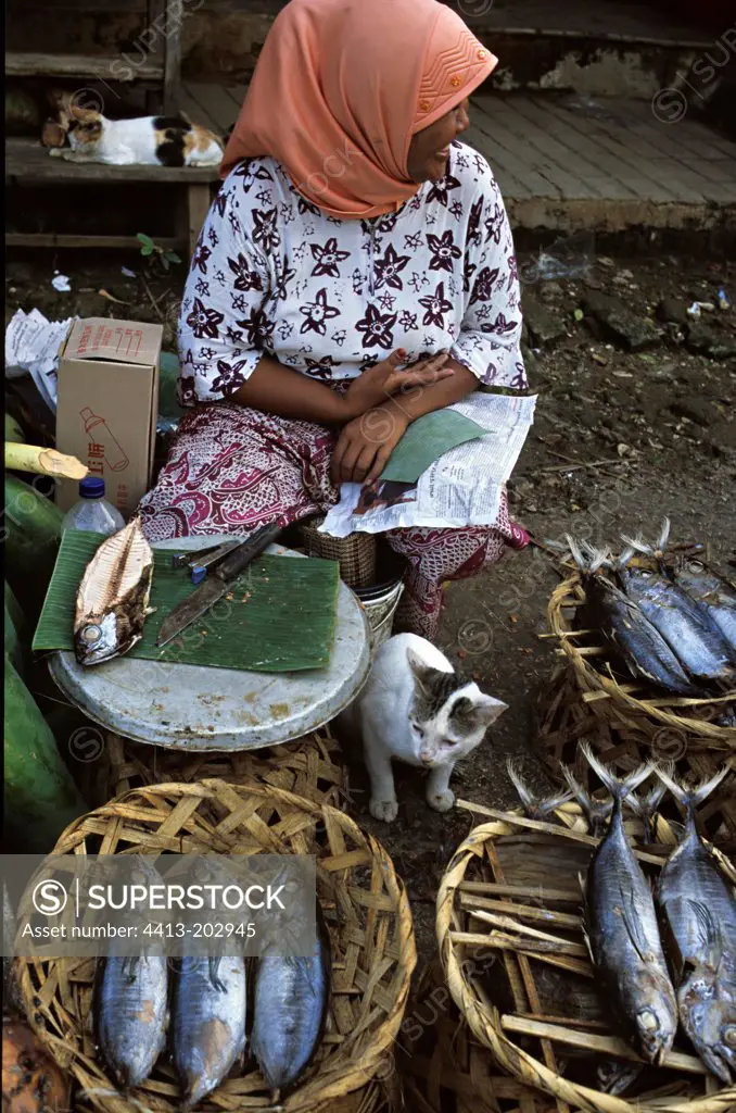 Fishes saleswoman and cat in a market Java