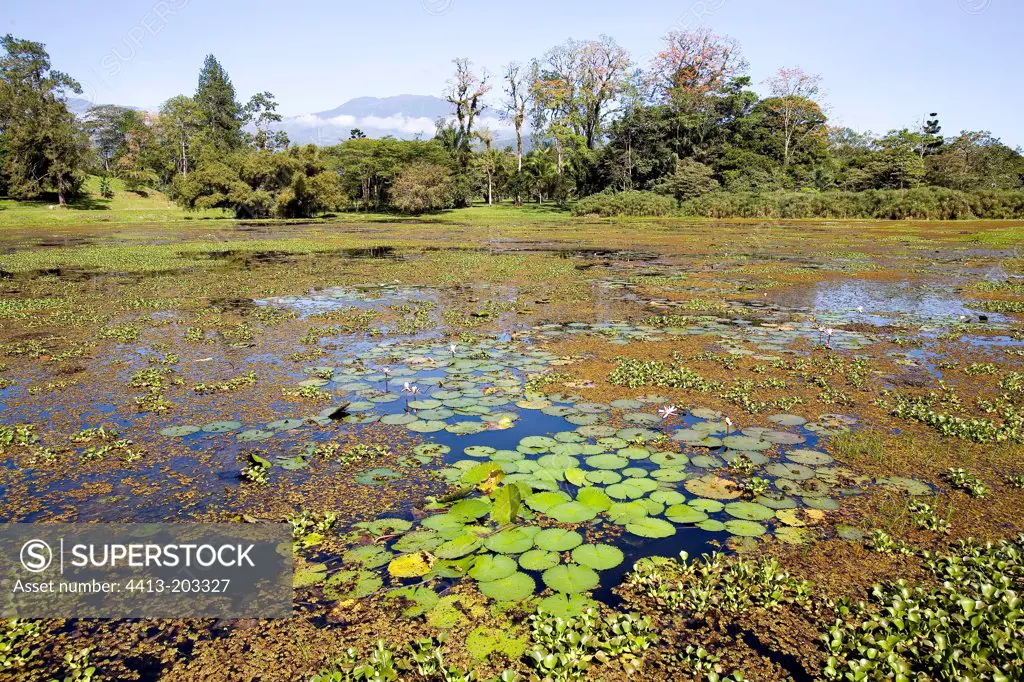 Freshwater lake and aquatic species Costa Rica