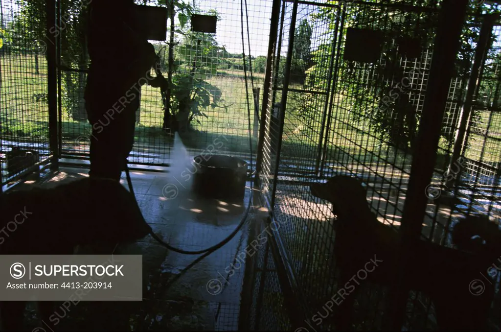 Man cleaning a kennel Nièvre France