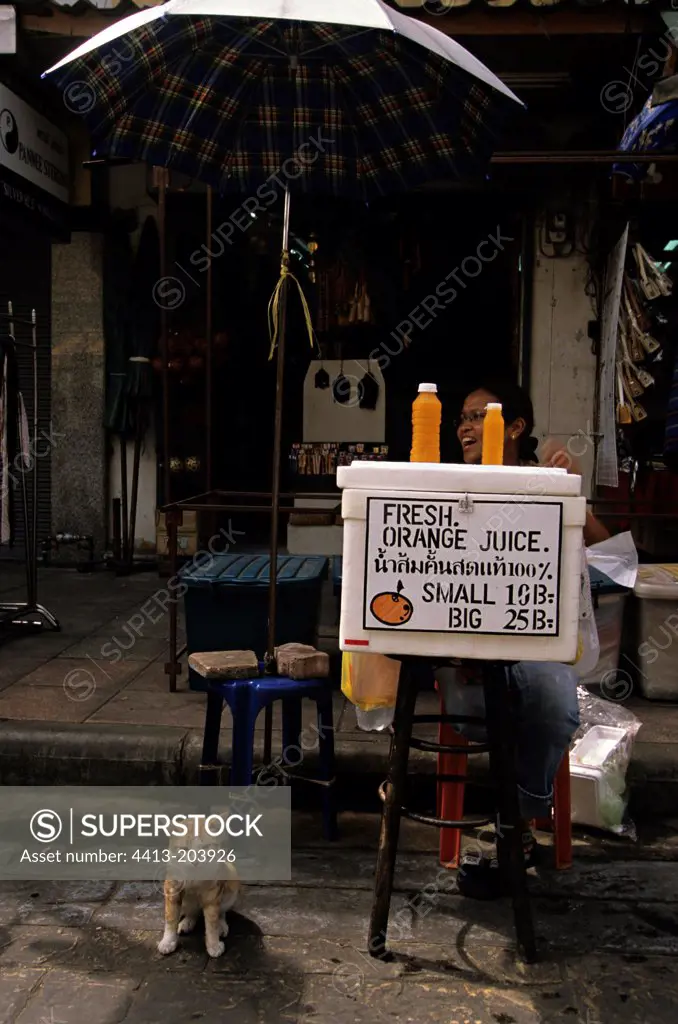 Cat near a saleswoman of orange juice Thailand