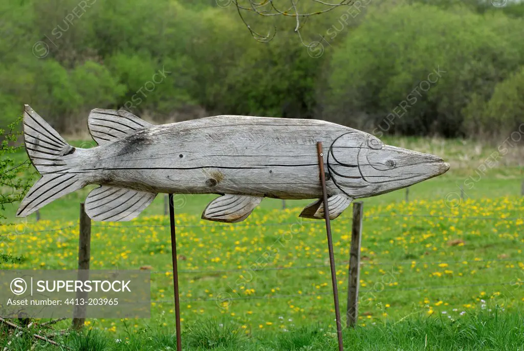 Sculpture of a Northern pike Remoray lake Natural Reserve