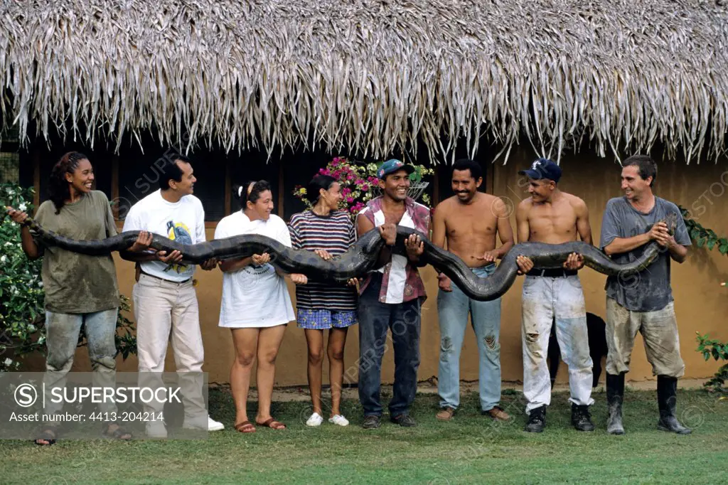 Staff of a biological station carrying an Anaconda