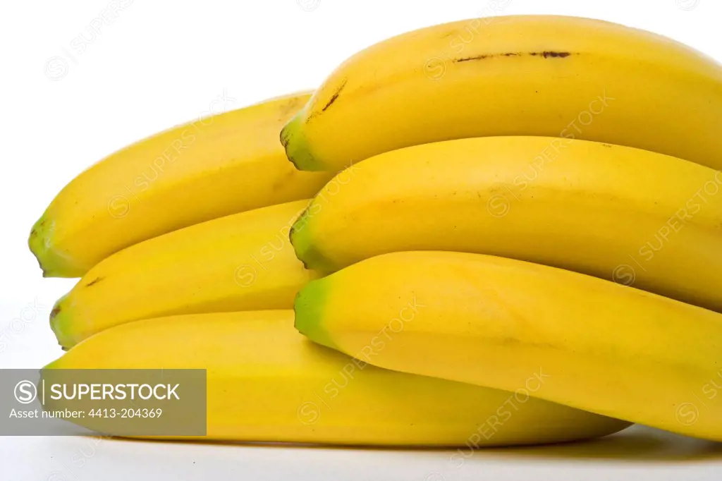Small regime Bananas marketing for Studio