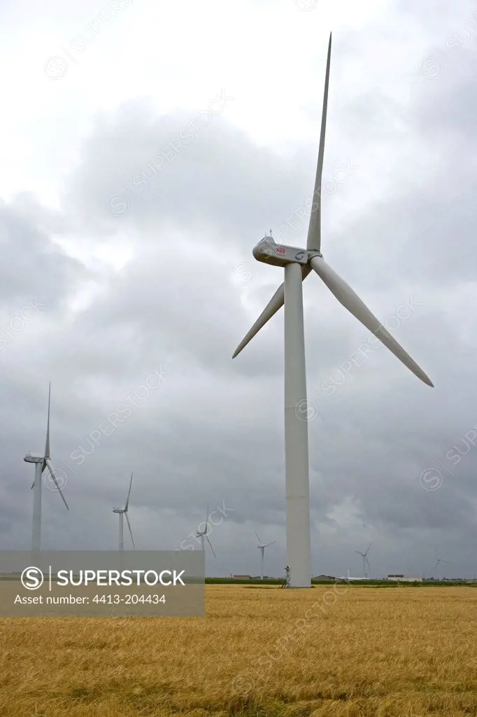 Wind Farm Bouin Loire Atlantique of France