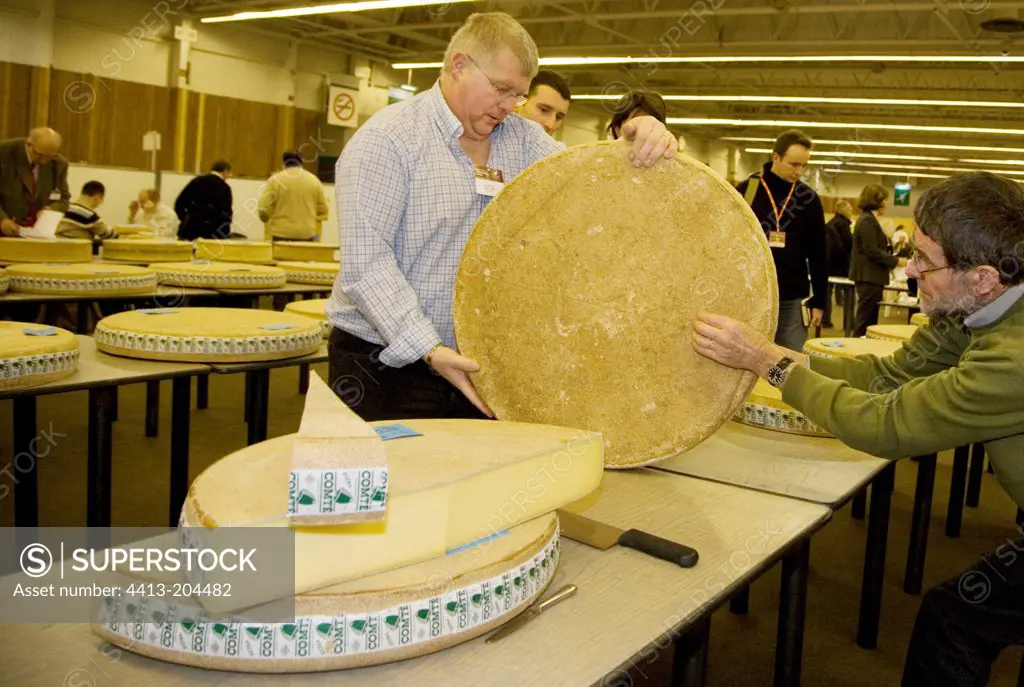 Jury testing cheeses to award medals France