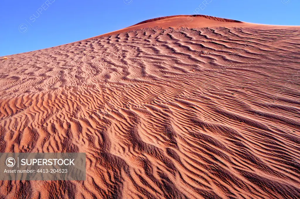 Red sand dune Sossusvlei Namibia