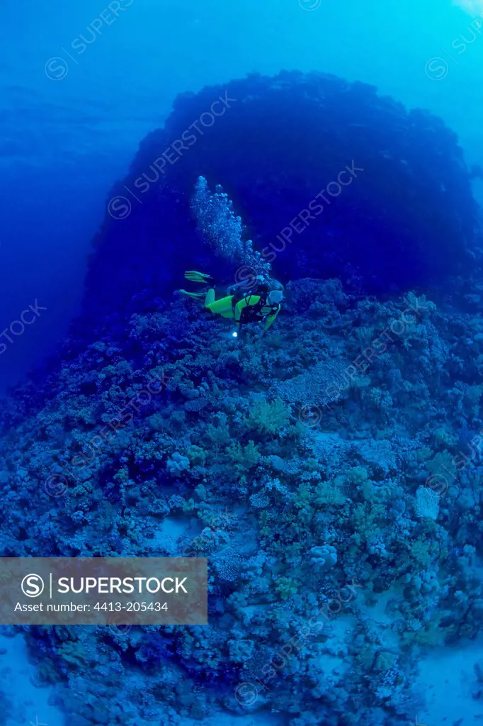 Diver Erg Tofa Mersa Alam Red Sea Egypt