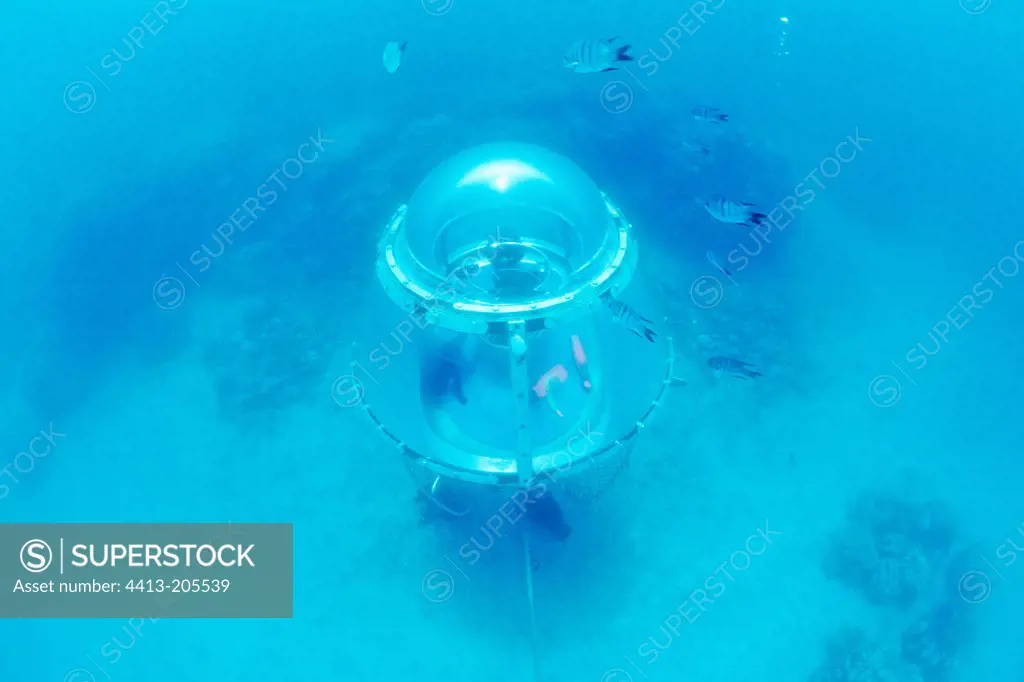 Divescope restrained 7 m deep New Caledonia