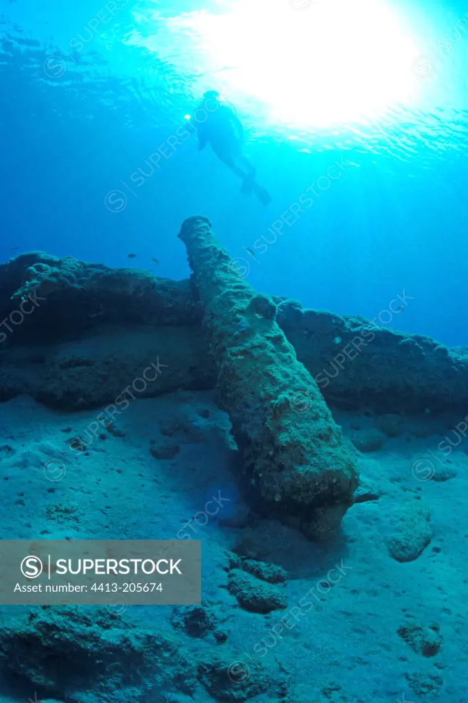 Diver and bronze cannon St Eustache Antilles