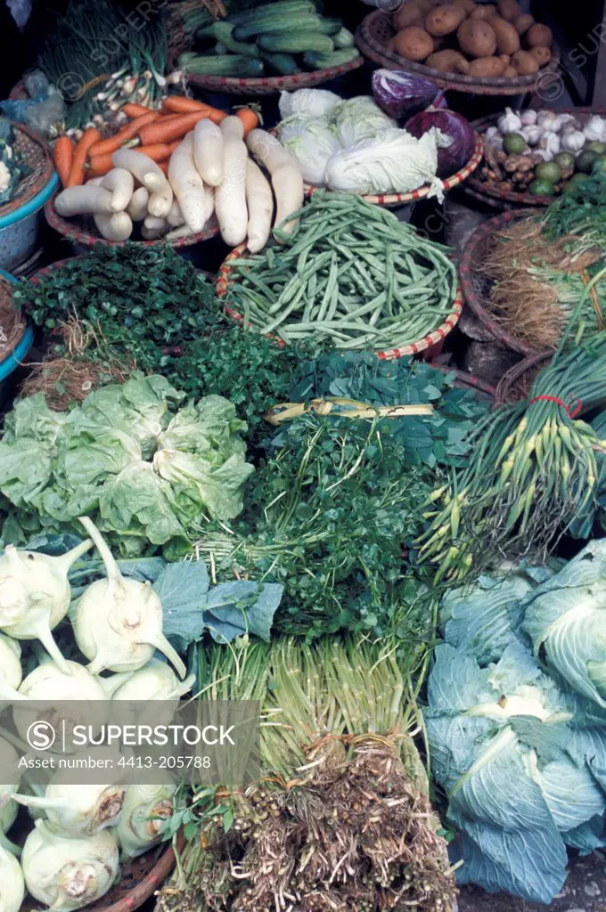 Vegetables in baskets Vietnam