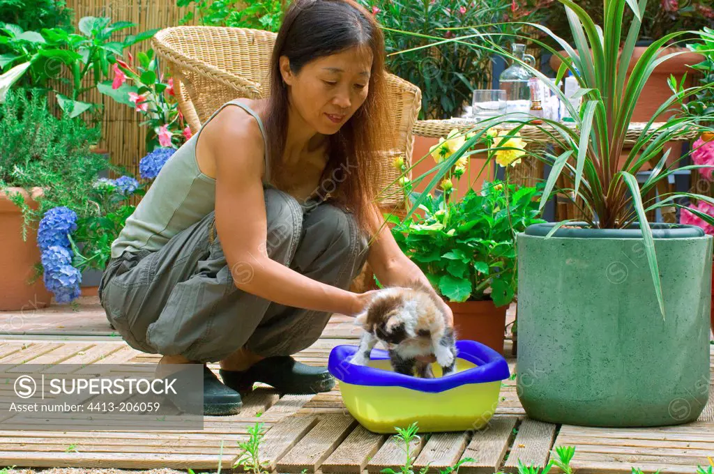 Woman learning to a kitten the neatness