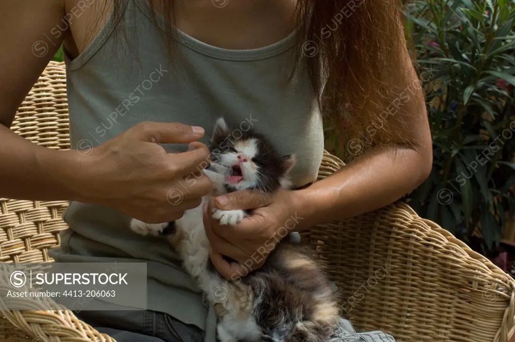 Woman giving medecine to a kitten