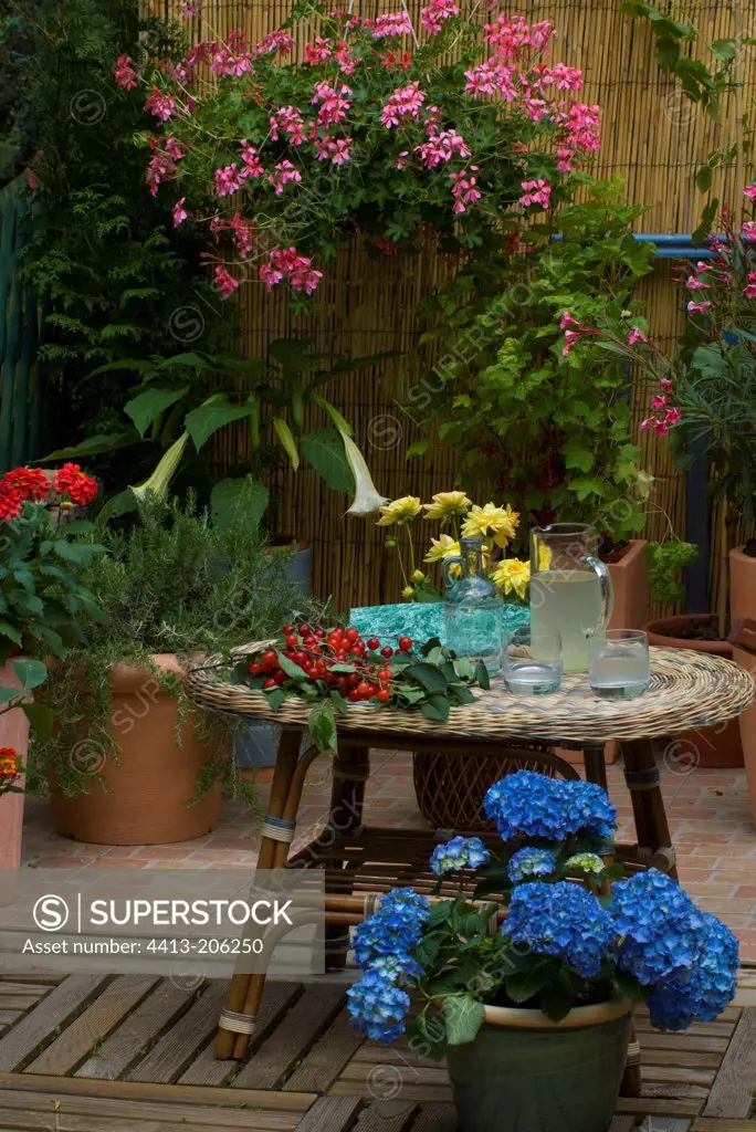 Garden terrace with drinks on a table