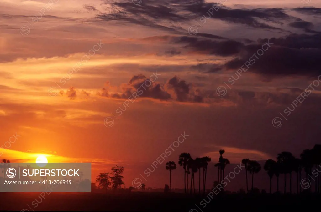 Landscape at sunset Siem Reap Cambodia