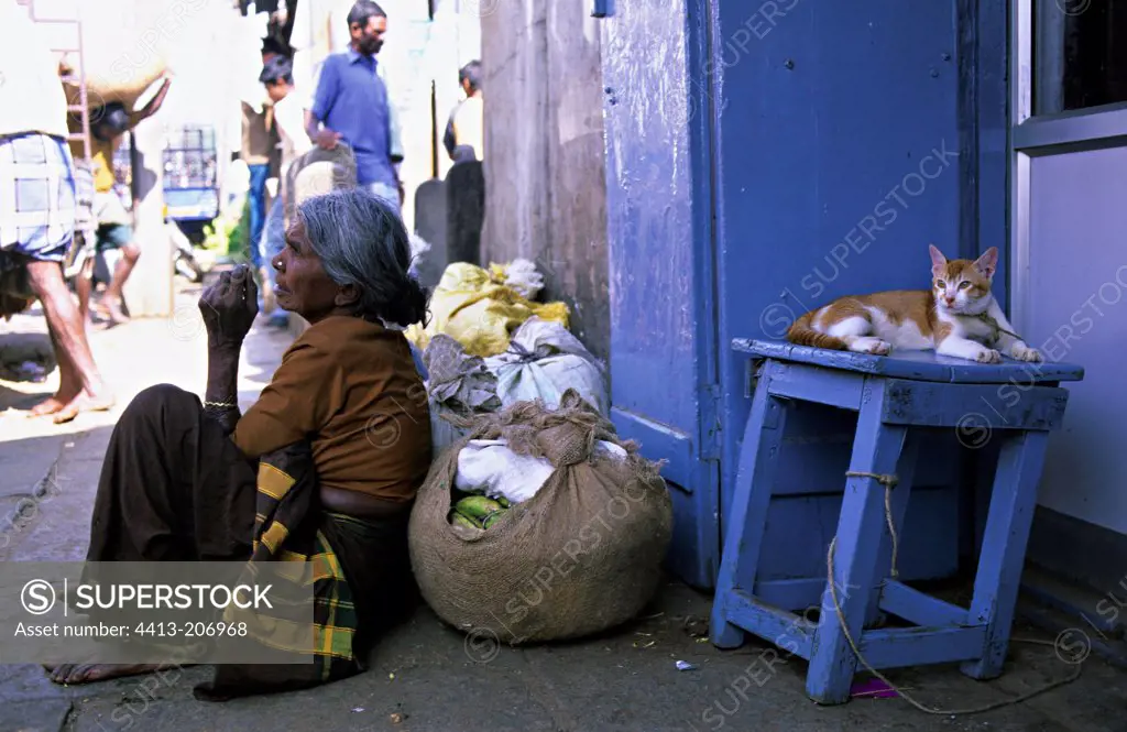 Cat lying on a stool and old woman sitting on the pavement