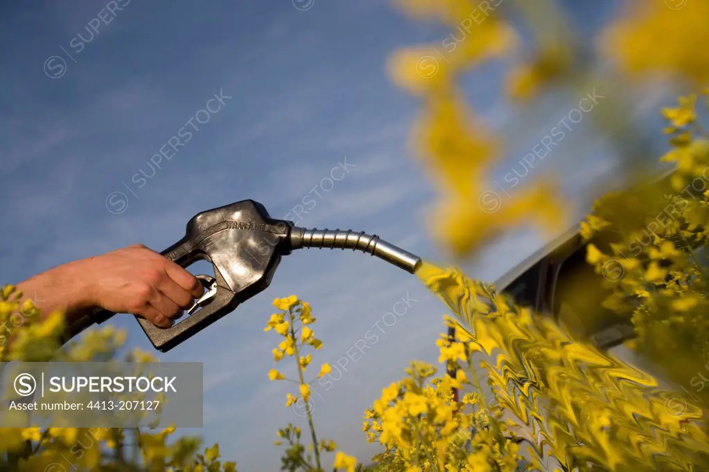 Pump distributing fuel in a field of Rapeseed France