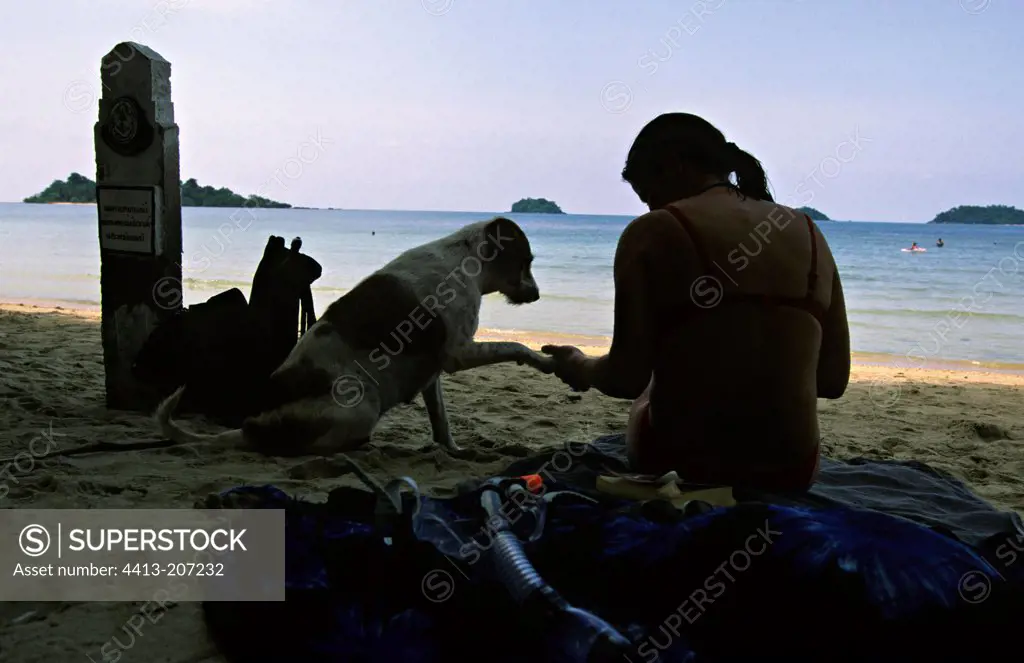 Dog giving its paw to a tourist on a beach