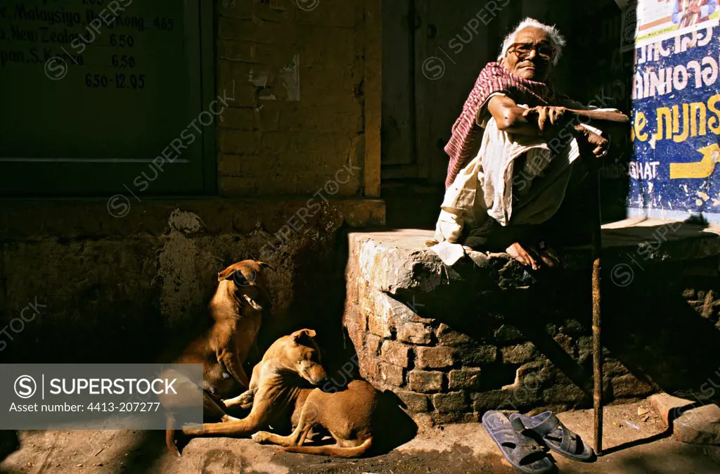 Dogs at rest and man sitting on a low wall India