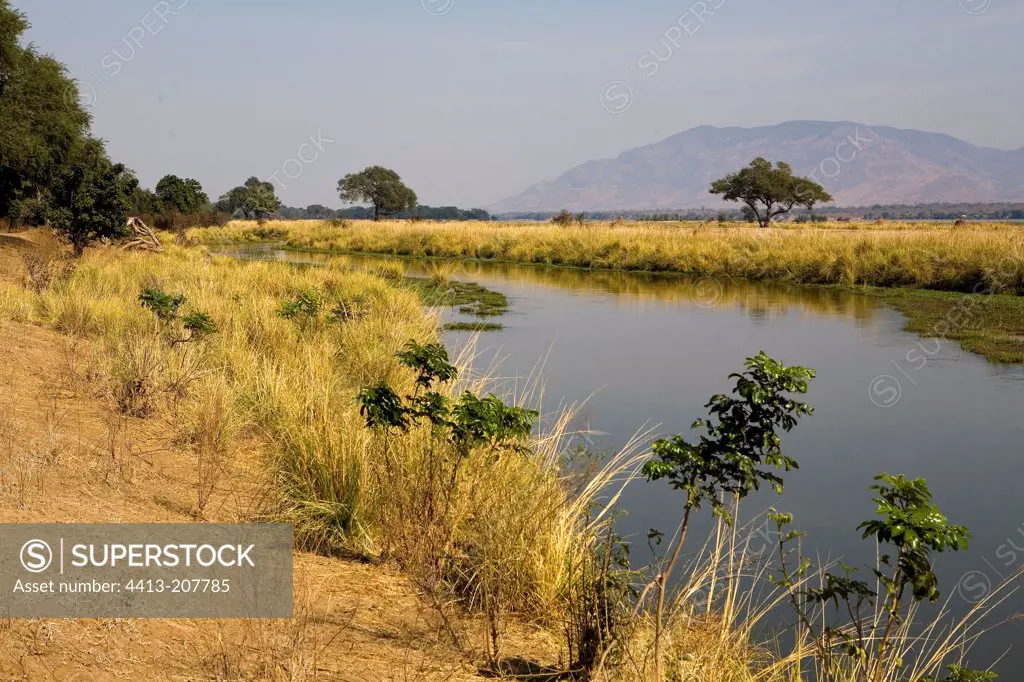 Plain of Zambezi NP Mana Pools Zimbabwe