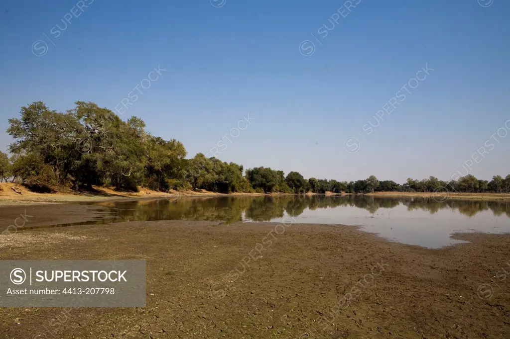 Permanent puddle in dry season NP Mana Pools Zimbabwe