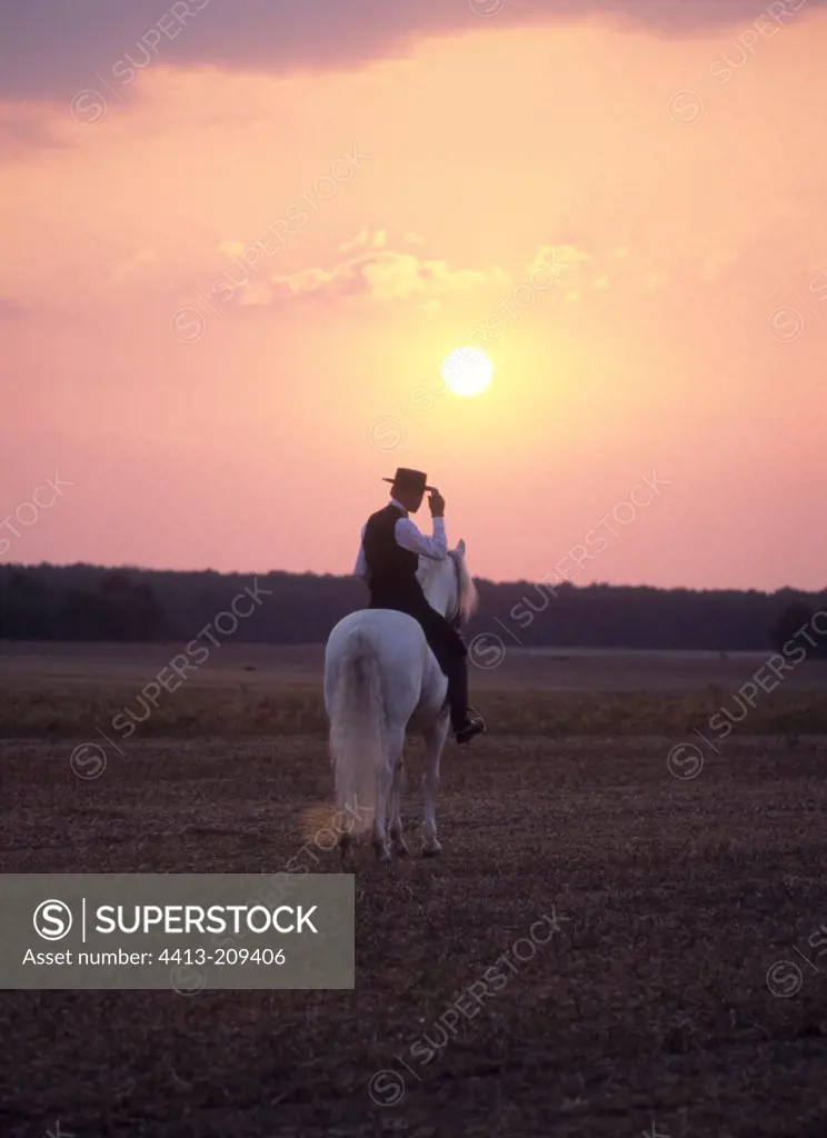 Rider on gray horse at sunset France