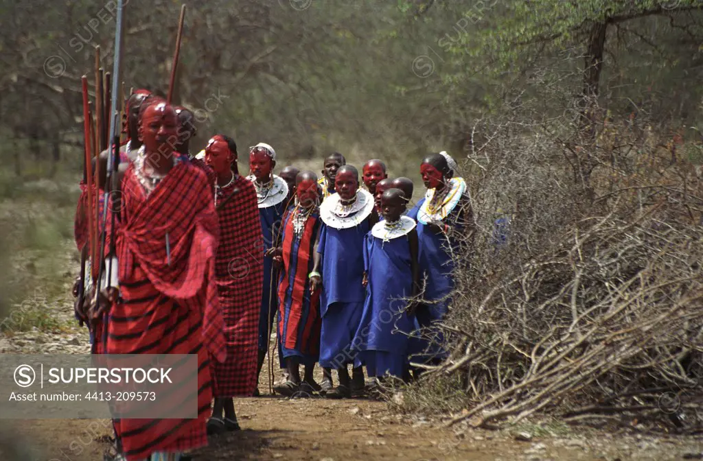 Masai songs and dances during a circumcision ceremony