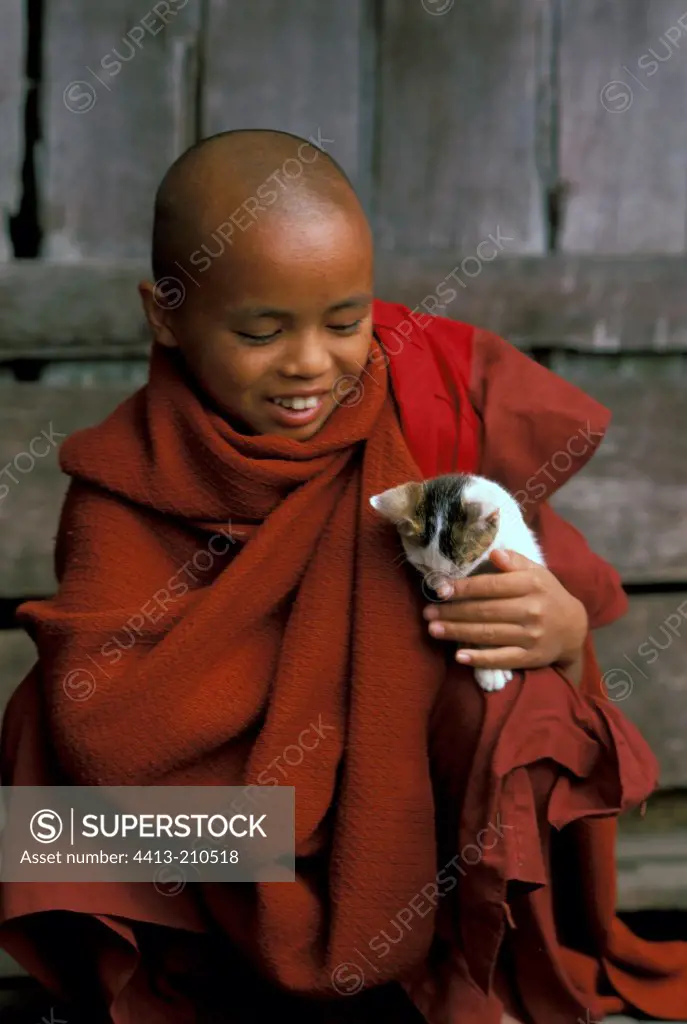 Young monk holding a kitten on his knees Burma