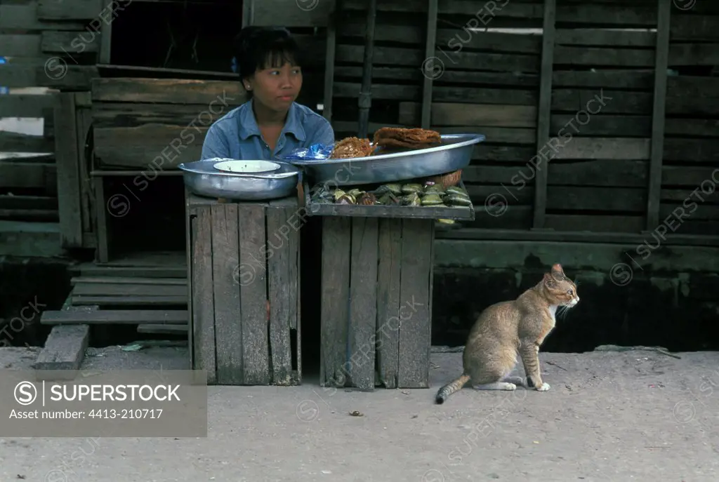 Cat and woman sit in front of dishes Burma