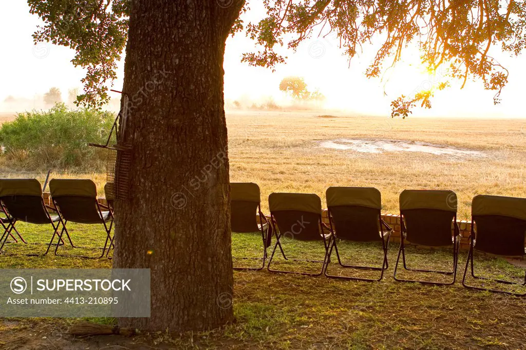 Line of chairs at the foot of a tree NP Kruger South Africa