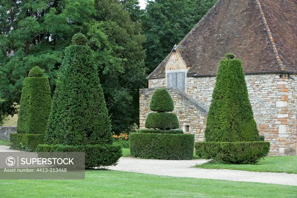 Common box topiaries Castle of Cormatin Bourgogne France