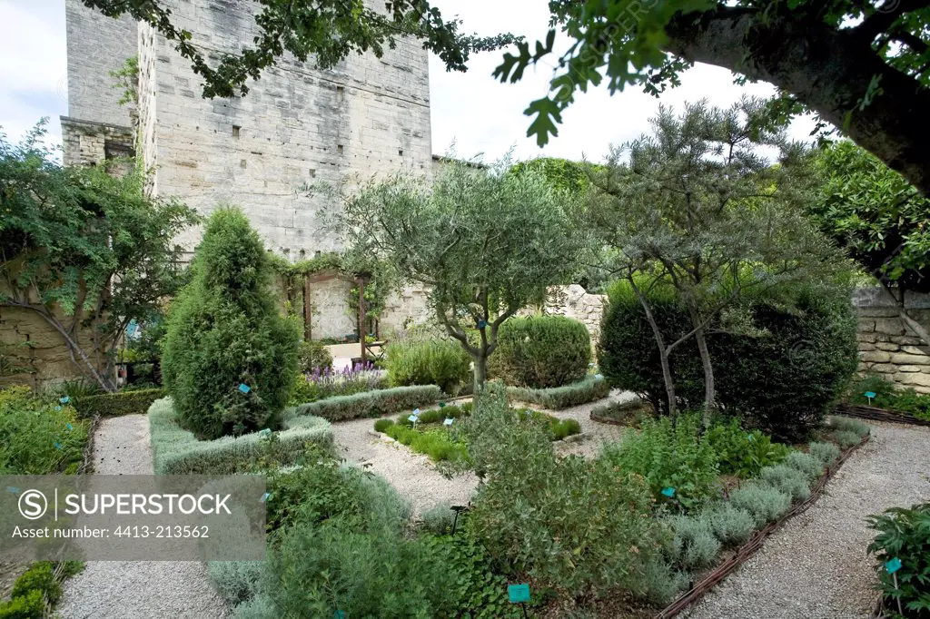 Medieval garden of Uzès in summer Gard France