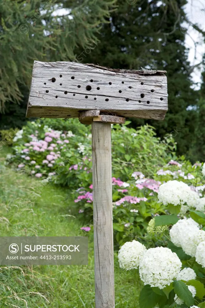 Shelter for insects in a garden Haute-Savoie France