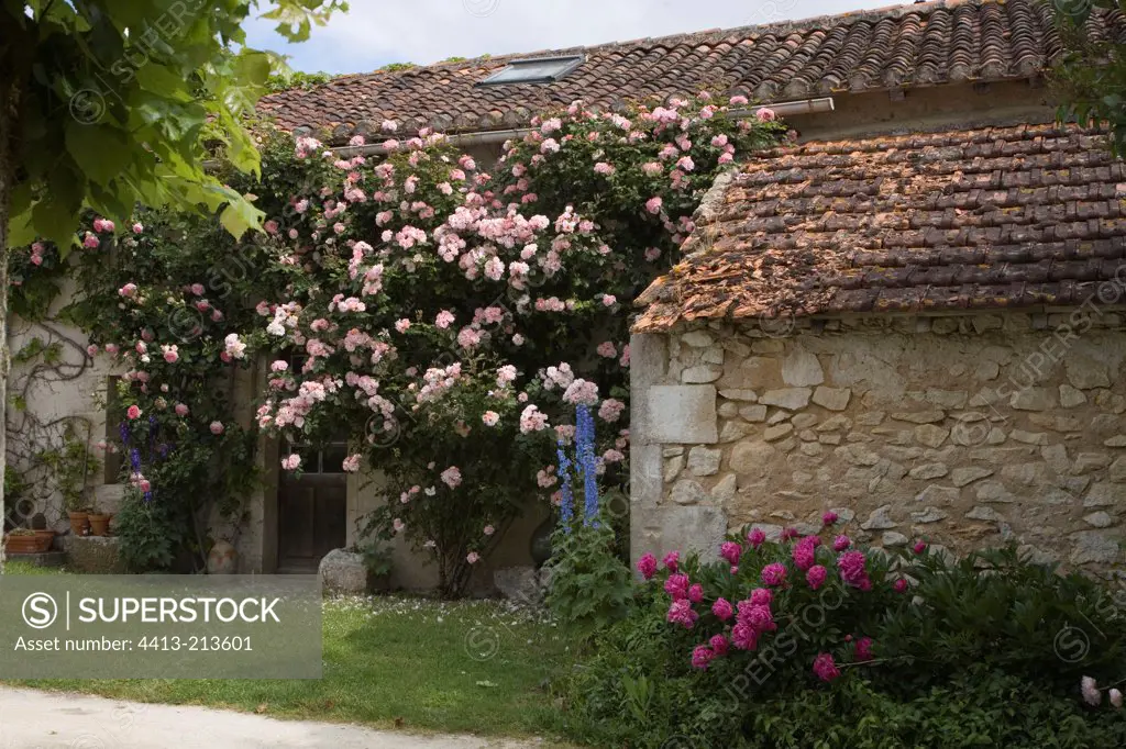 Small flowery countryside house in Vienne France
