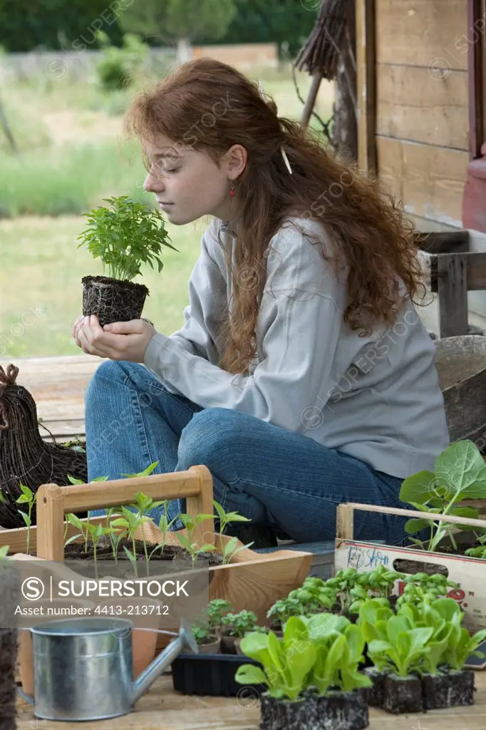 Teen girl smelling a Basil plant in bucket Provence