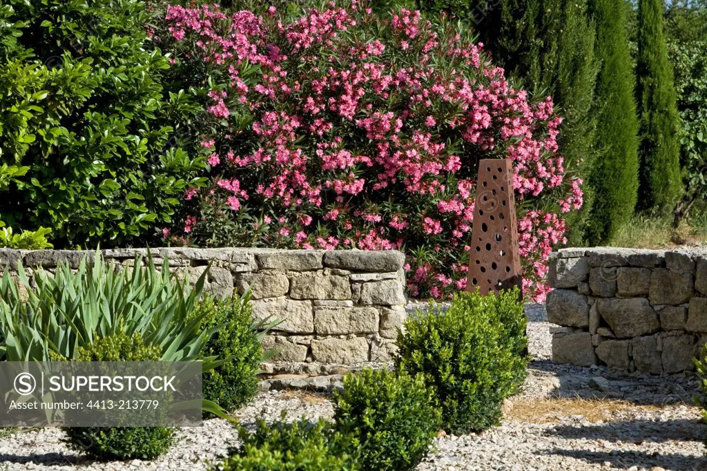 Garden in Provence with Cypresses Oleanders and Boxes