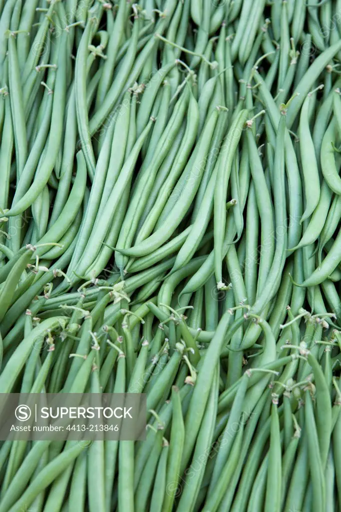 Green beans on a stall Provence