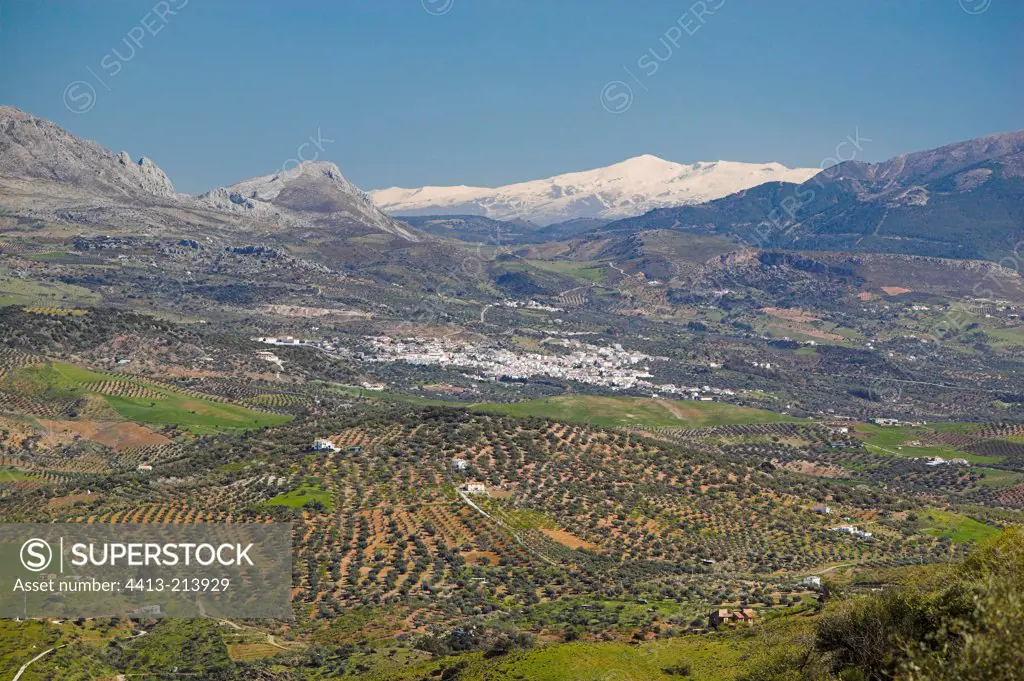 Landscape of Axarquia in Andalusia Spain