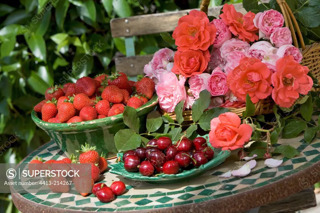 Still life with Roses and red fruits on garden table