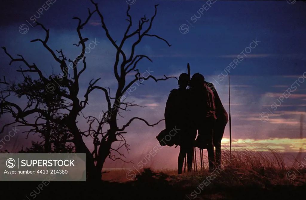 Silhouettes of Masai warriors at twilight Tanzania