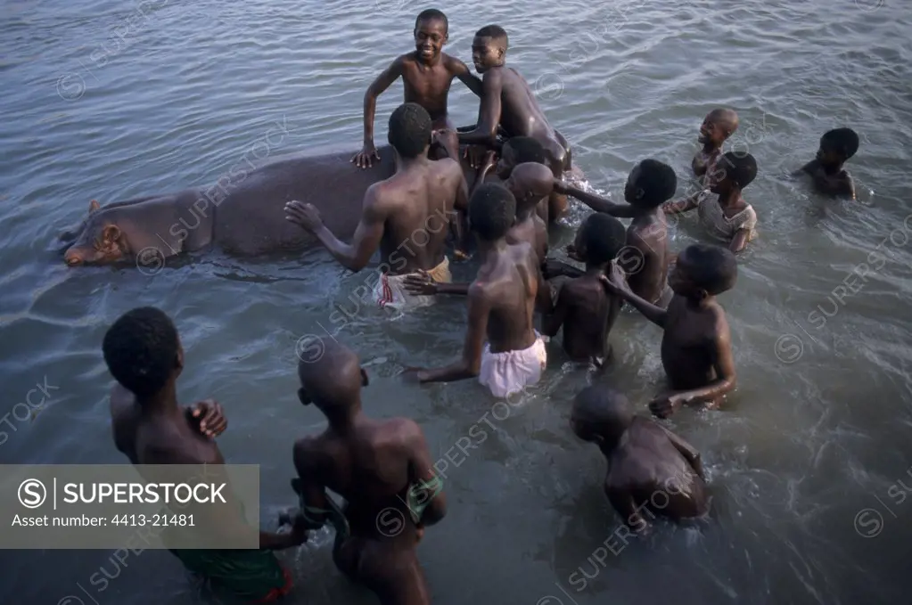Children playing around an Hippopotamus Cameroun