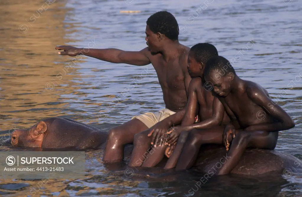 Children sitting on the back of an Hippopotamus Cameroun