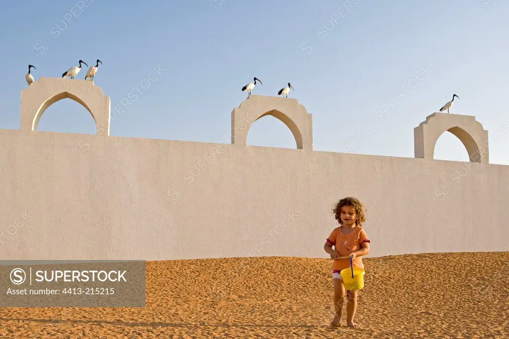 Girl and Ibis Abu Dhabi UAE
