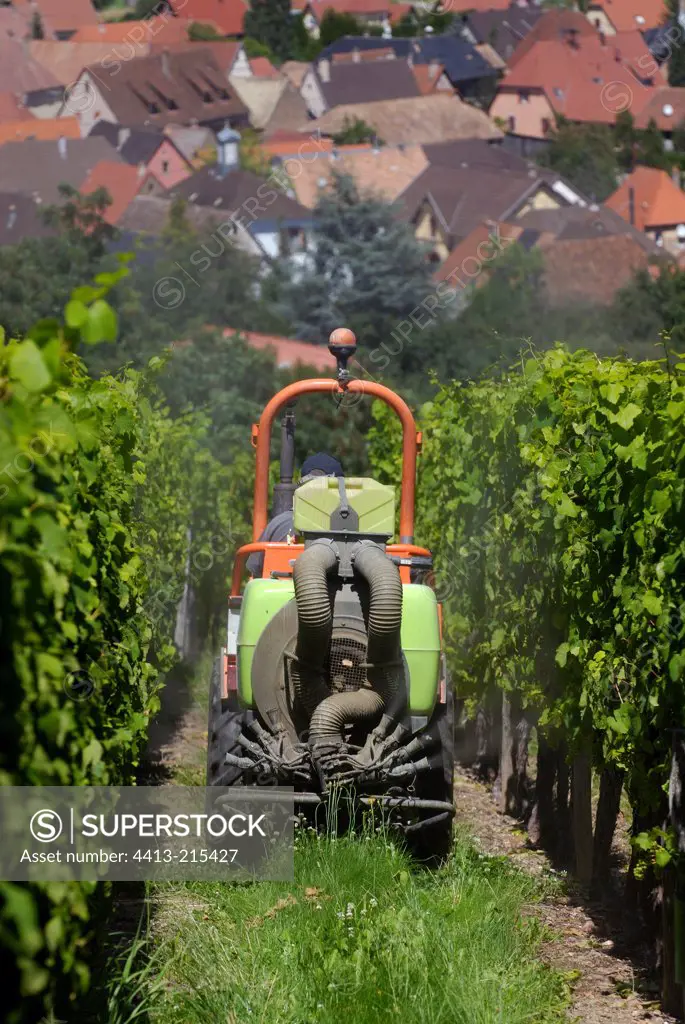 Machine spraying of pesticides on the vine France