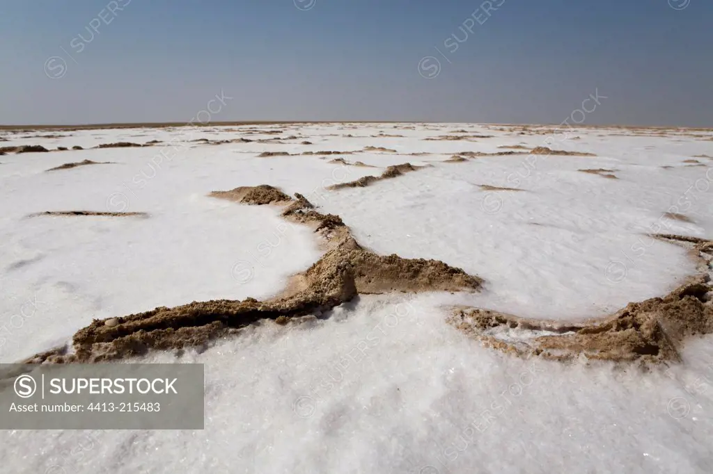 Rind salt on a sebka Sultanate of Oman