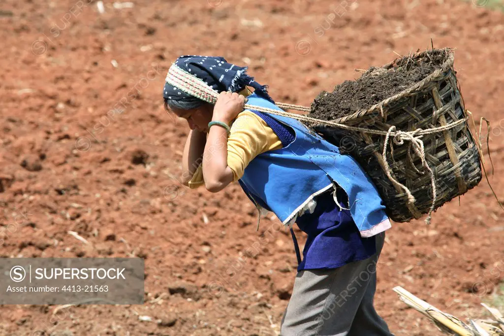 transporting compost Yunnan China