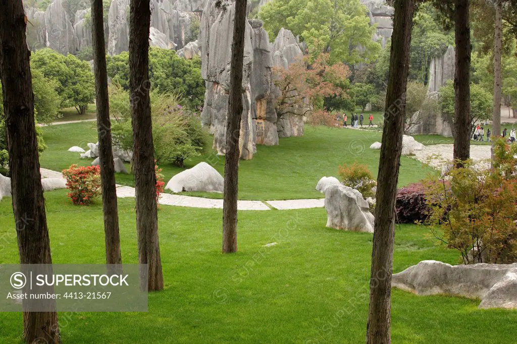 Park arranged in the Forest of Stone Shiling Yunnan China
