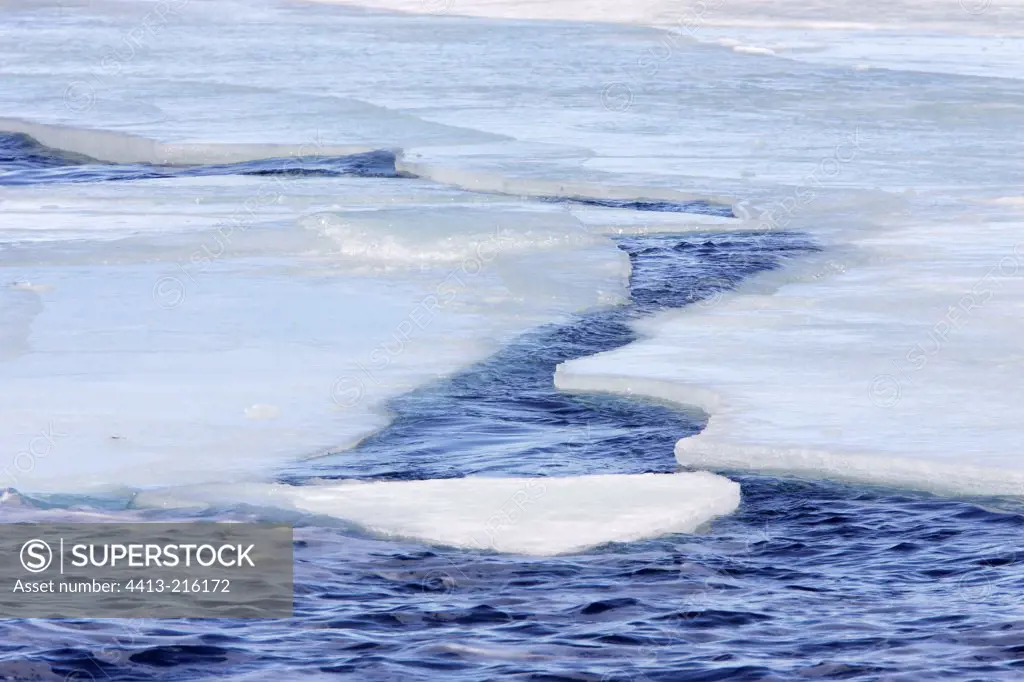 Sea ice around the Antarctic Peninsula