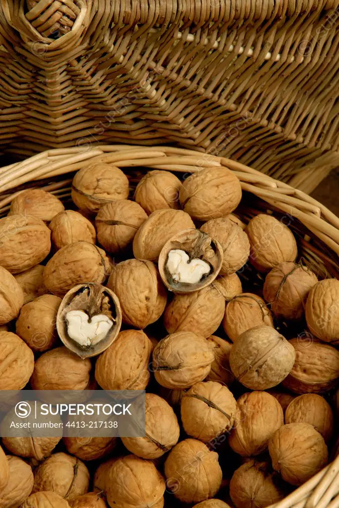 Nuts in a basket France