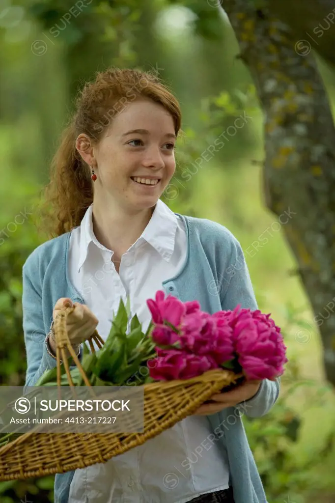 Young girl carrying a basket of herbaceous peony Provence